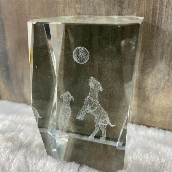 Playing Dogs Ball Puppies Laser Etched Crystal Glass Rectangle Paperweight 3D - Picture 3 of 10